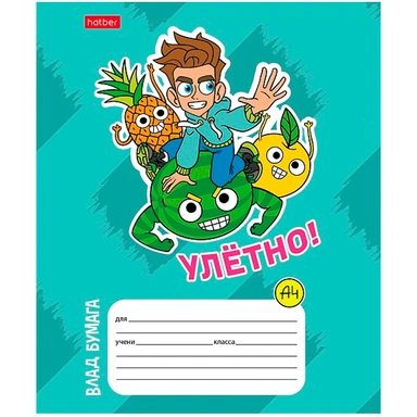 Тетрадь 12 л. А5ф линия Влад А4 12Т5В2