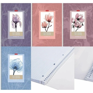 Тетрадь 80 л. клетка Нежность 80Т5лВ1гр Hatber