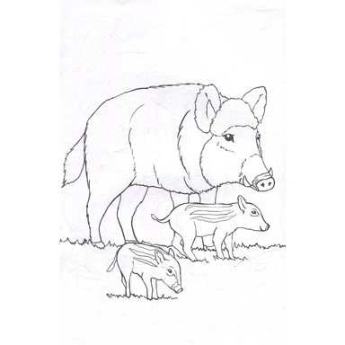 Раскраска 978-5-378-35177-0 ДИКИЕ ЖИВОТНЫЕ