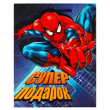 Пакет Чудо праздник 18*22,7*10 см PM-97448-SM /288/