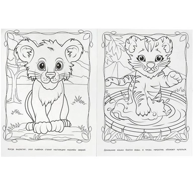Раскраска 9785506090342 Дикие животные