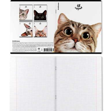 Тетрадь 48 л. клетка Котики ErichKrause 60607