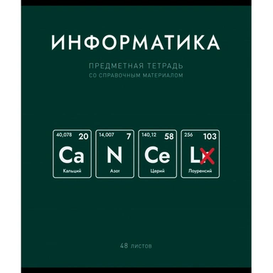 Тетрадь 48 л. клетка Нахимичили Информатика 022884