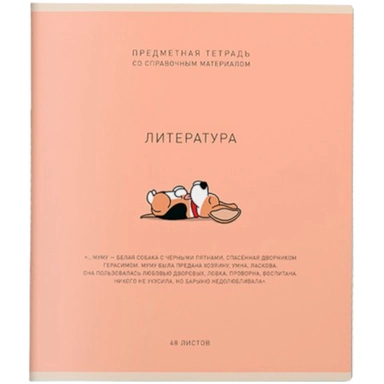 Тетрадь 48 л. Линия Ми-ни-Ми Литература 022464