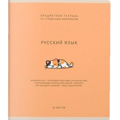 Тетрадь 48 л. Линия Ми-ни-Ми Русский язык 022471