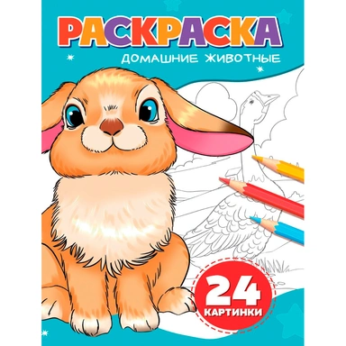 Раскраска 978-5-378-35178-7 ДОМАШНИЕ ЖИВОТНЫЕ