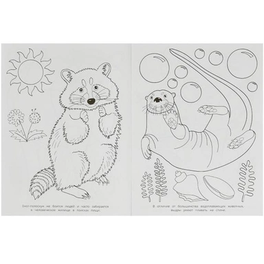 Раскраска 9785506095460 Забавные зверята