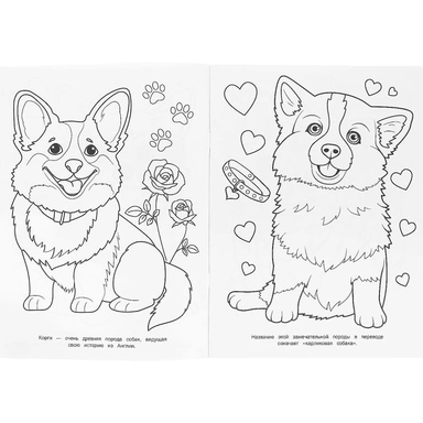 Раскраска 9785506098775 Корги и друзья