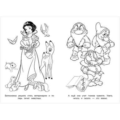 Раскраска 9785506104810 Бал принцесс