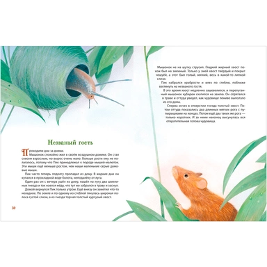 Книга 978-5-353-11541-0 Бианки В. Лесные истории. Сказки о животных (Все-все-все сказки)