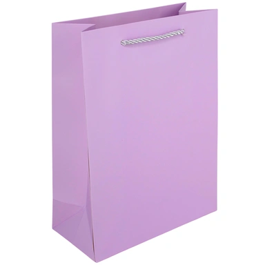 Пакет 18*8.5*24 см цвета в ассорт. 141V-1002