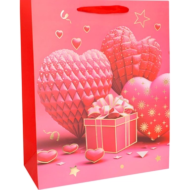 Пакет 26х10х32см FG250705003C