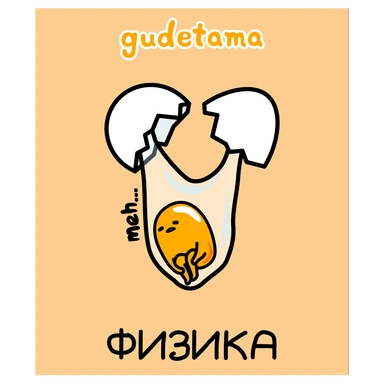Тетрадь 48 л. клетка предмет Физика Gudetama 71599