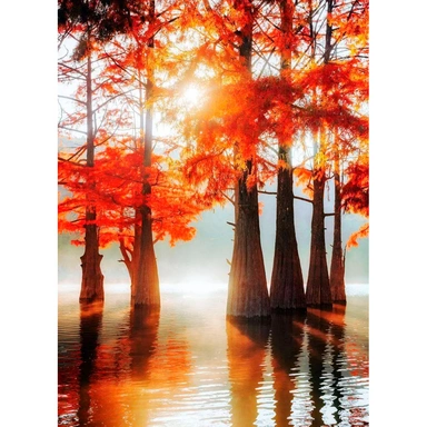 Деревянный Пазл 110 Кипарисовое озеро MPZCF3-M