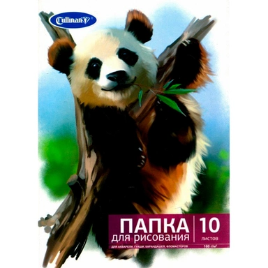 Папка для рисования А4 10л. FORUM Office Collection FK-2410