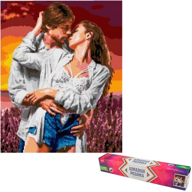 Набор для творчества Алмазная мозаика 40*50 см полное заполнение Пара влюбленных Ам-132 LORI