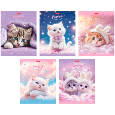 Тетрадь 48 л. клетка Нежные мечты 092369