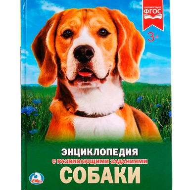 Книга Умка 978-5-506-02336-4 Энциклопедия.Собаки.А4