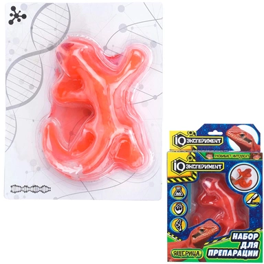 Набор Опыты по биологии препарация ящерицы IQ Эксперимент BIO-LIZ-01-RU