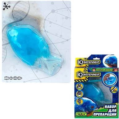 Набор Опыты по биологии препарация рыбы IQ Эксперимент BIO-FISH-01-RU