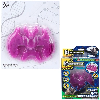 Набор Опыты по биологии препарация летучей мыши IQ Эксперимент BIO-BAT01-RU