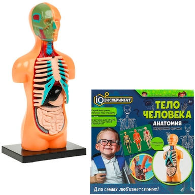 Набор Опыты тело человека IQ Эксперимент A365-H24041-R