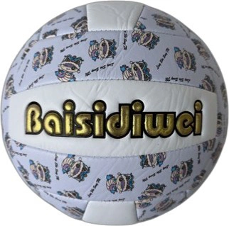 Мяч Волейбол №5 141V-1285