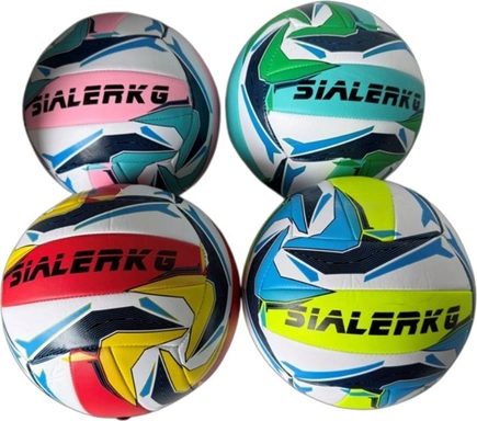 Мяч Волейбол №5 141V-1296