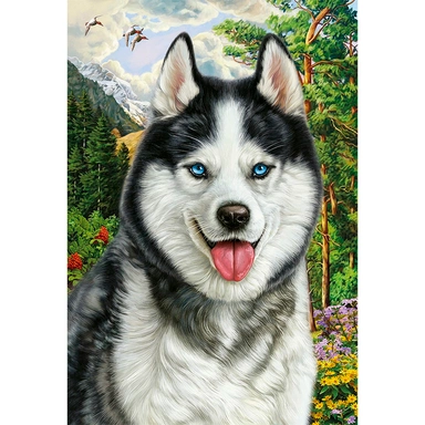 Набор для творчества Алмазная мозаика 22х32 см квадратная Портрет хаски НД-8554