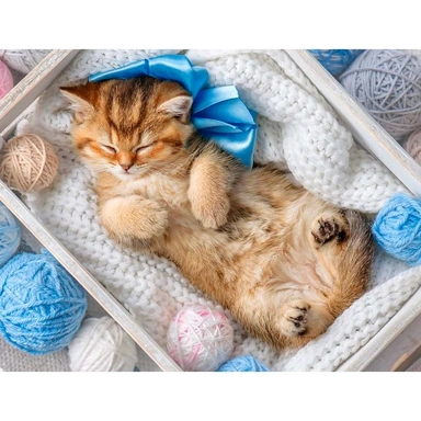 Набор для творчества Алмазная мозаика 30х40 см Спящий пушистик НД-0523