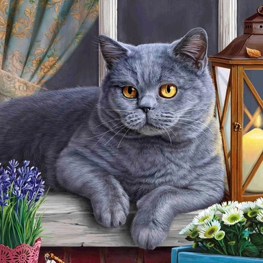Набор для творчества Алмазная мозаика 20*20см Британский котик на окне AC20060
