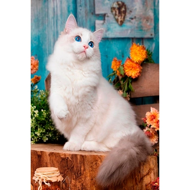 Набор для творчества Алмазная мозаика 17х22 см Белая кошечка НД-0761