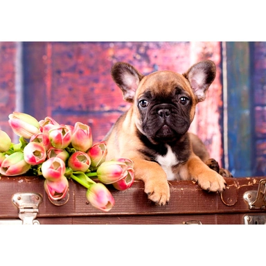 Набор для творчества Алмазная мозаика 20х30 см Щенок на чемодане НД-0981