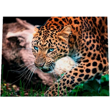 Набор для творчества Алмазная мозаика 30х40см Дикий леопард АЛМ-0056