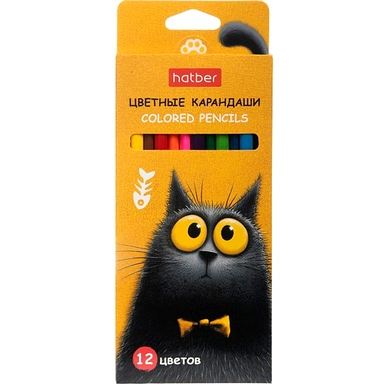 Карандаши цветные 12 цв. Пушистый философ 094019 Hatber
