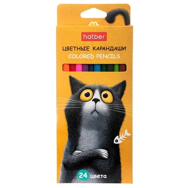 Карандаши цветные 24 цв. Пушистый философ  094021 Hatber