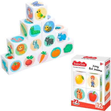 Кубики Изучаем мир во круг 12 шт Baby Toys 06052