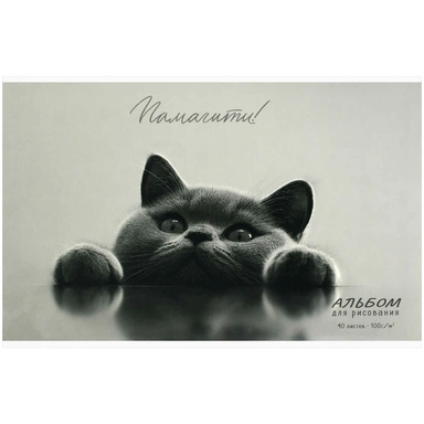 Альбом для рисования 40 л. А4 Британский кот 73140