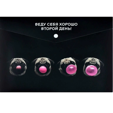 Папка для тетрадей на кнопке 1 отделение Мопс и жвачка 72363