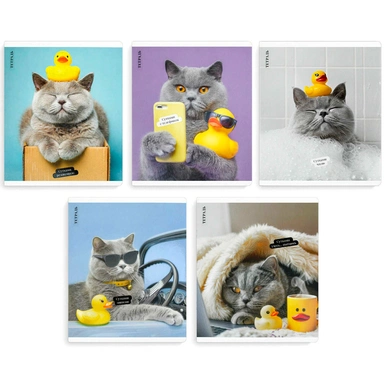 Тетрадь 48 л. клетка Кот с уткой 70924