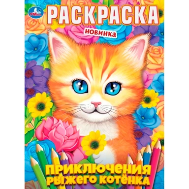 Раскраска 9785506113591 Приключения рыжего котёнка